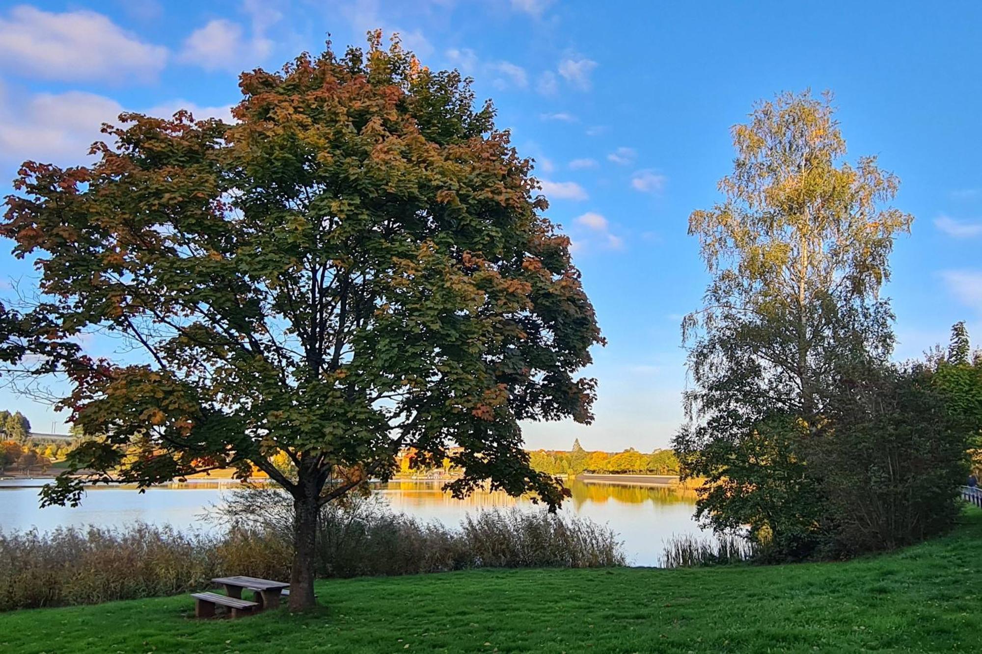 Draussen Am See Losheim Exterior foto